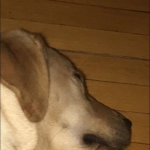 Meet your Posher, Deepak